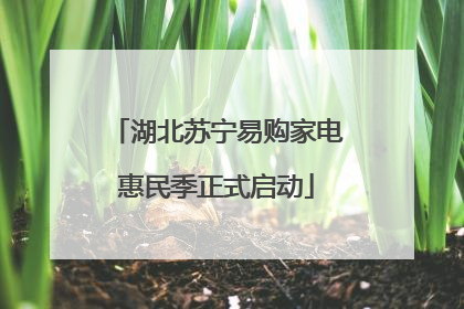 湖北苏宁易购家电惠民季正式启动